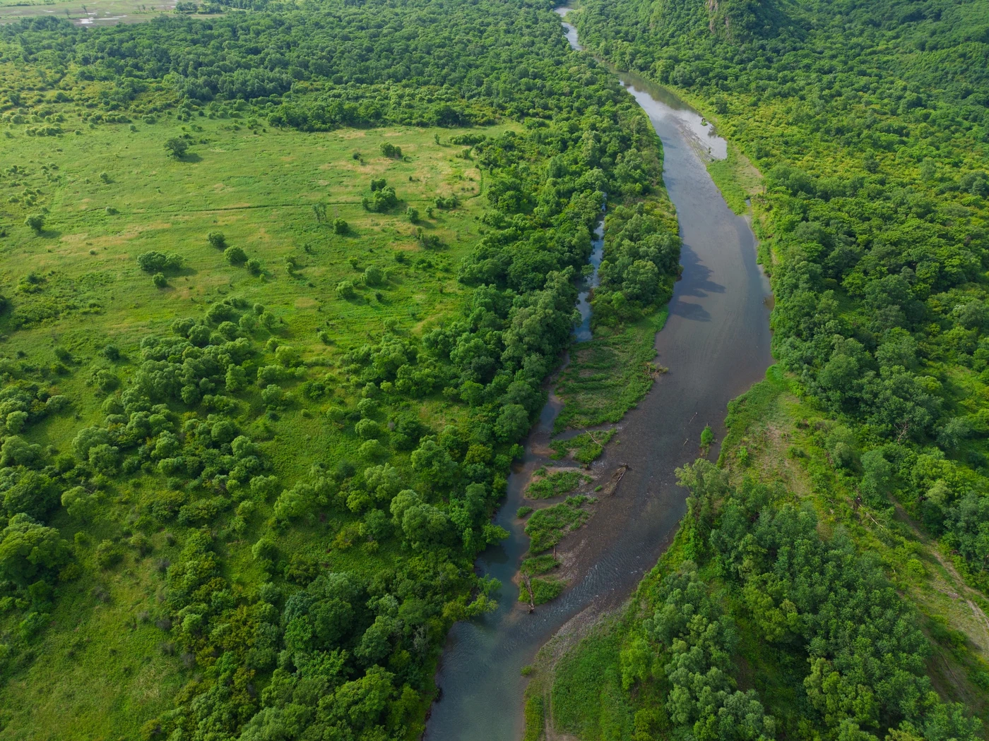 Aerial view of a river landscape within a forested valley