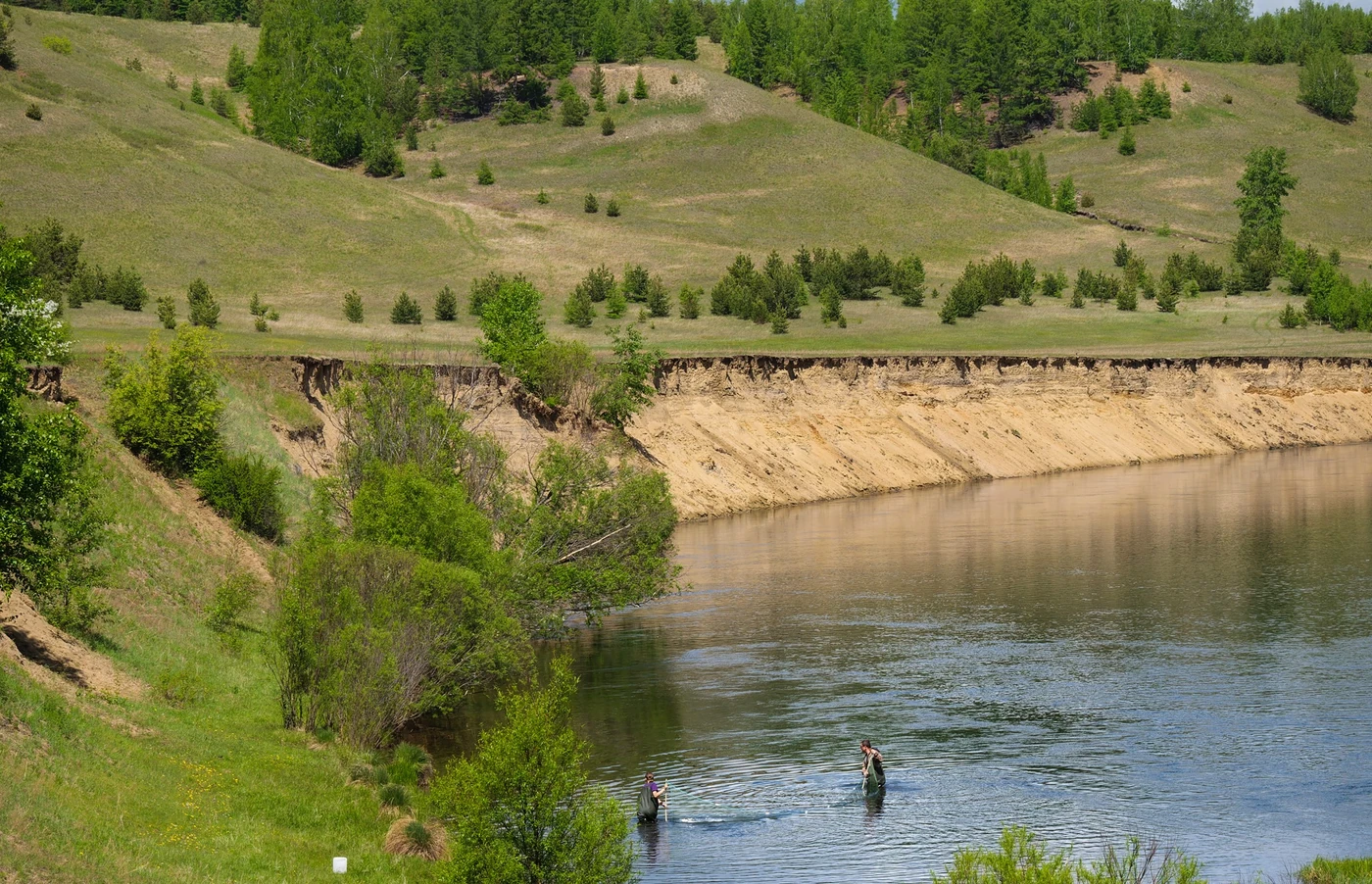Fish sampling in a broad river below an eroded riverbank