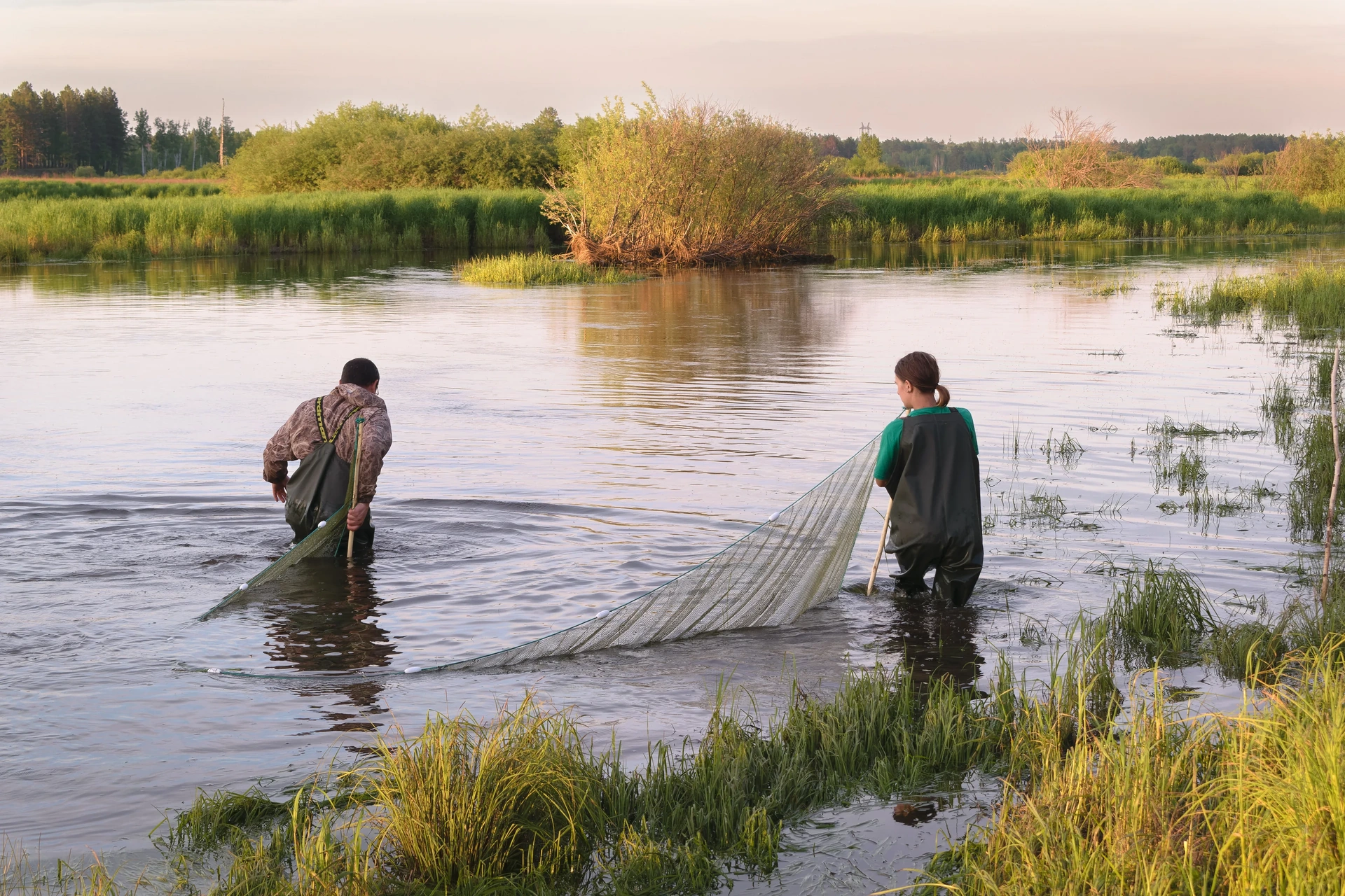Freshwater fish sampling during fieldwork